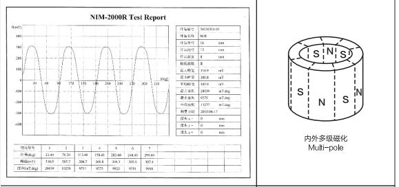 Radially oriented ring magnet